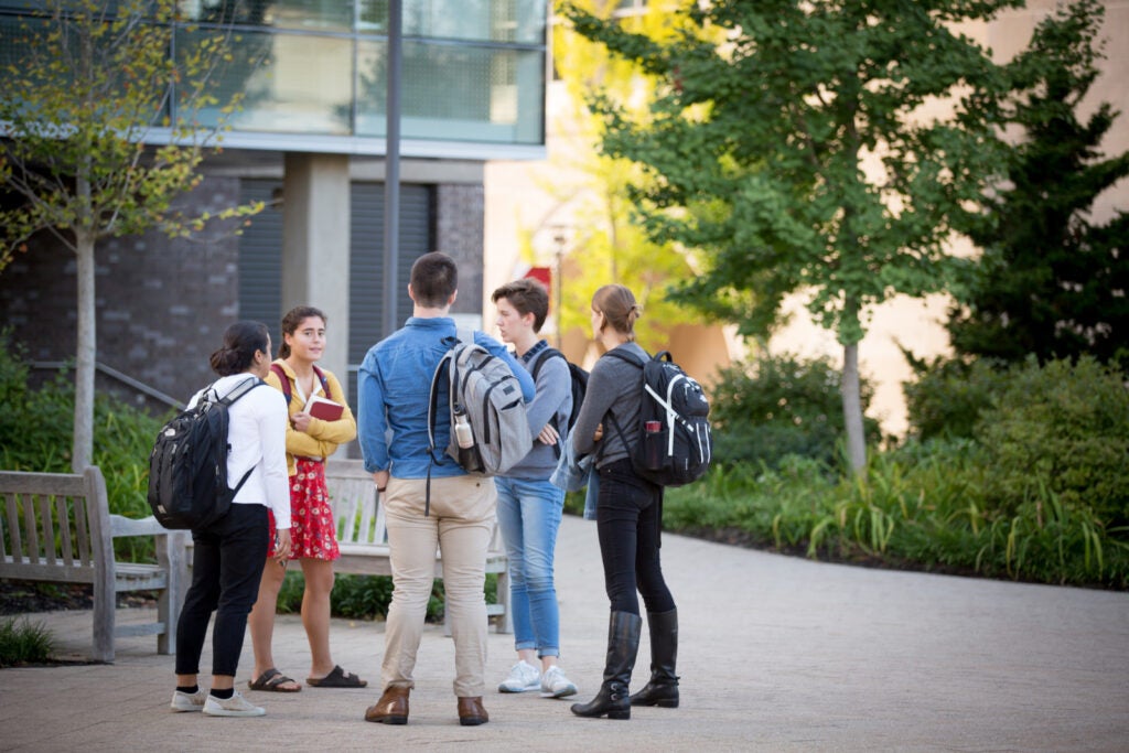 Student Representatives - Harvard Law School | Harvard Law School