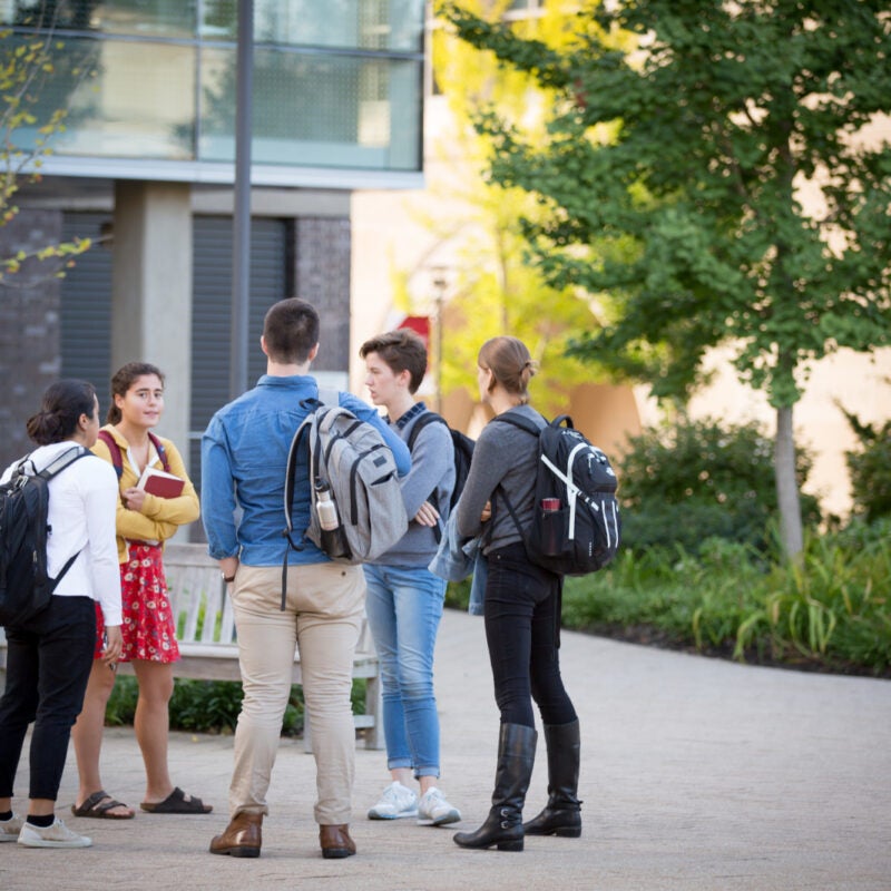 Students outside on campus