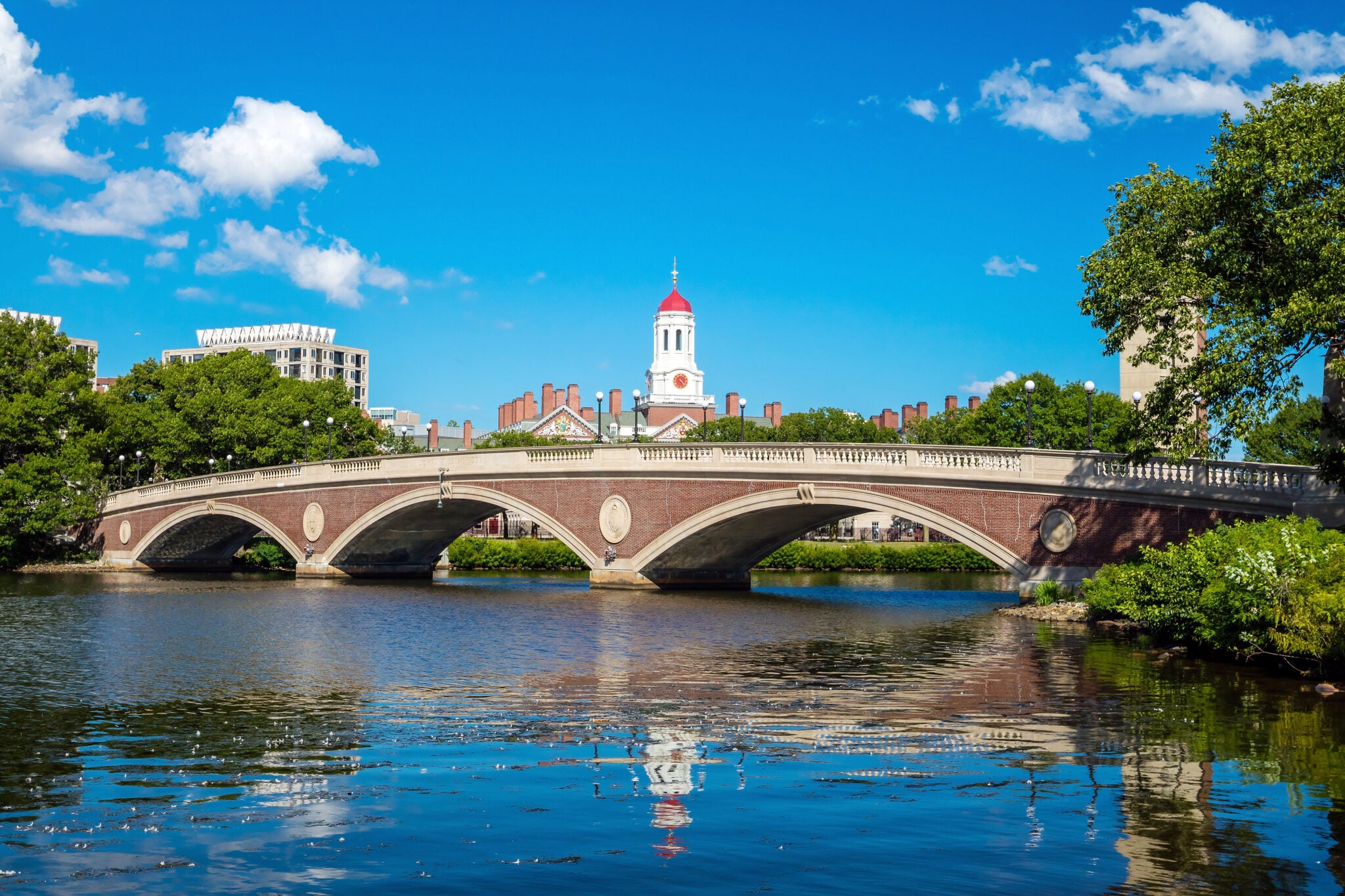 harvard law school campus visit