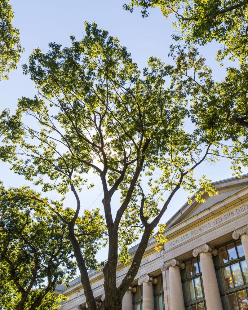 Thea high angle of front of Langell Hall with green leafed trees in the foreground
