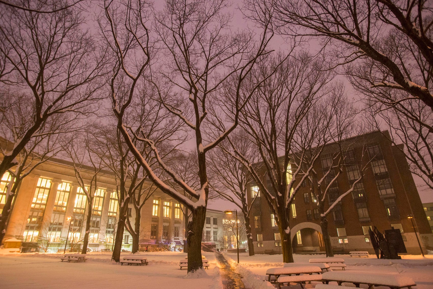 Wide view of the Harvard Law School buildings Langdell Hall and Hauser Hall on a winter evening