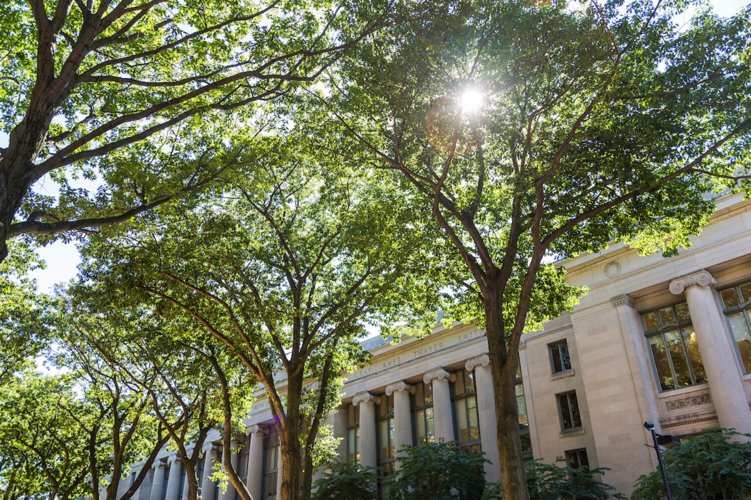 front of Langdell Hall with the sun