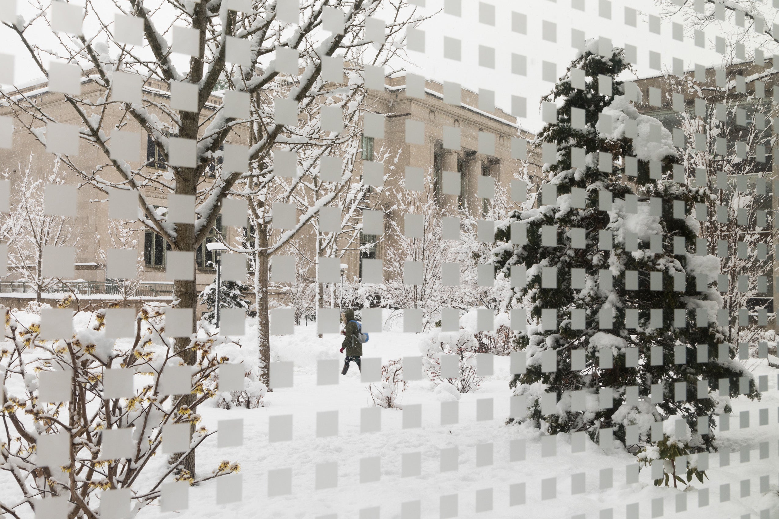 Photo taken through a patterned window of the Harvard campus in the winter.