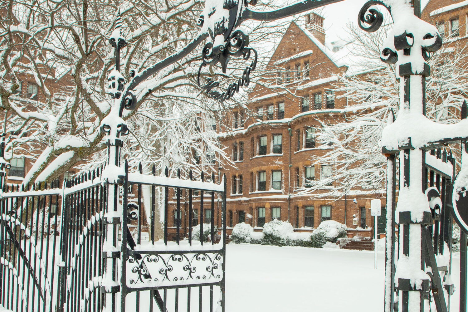 Harvard Law School’s Top Ten Photos Of 2020 - Harvard Law School ...