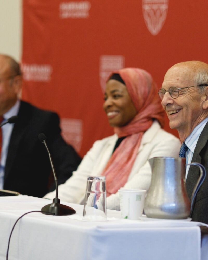 A panel with Justices Breyer and Shah and Professor Intasar Rabb