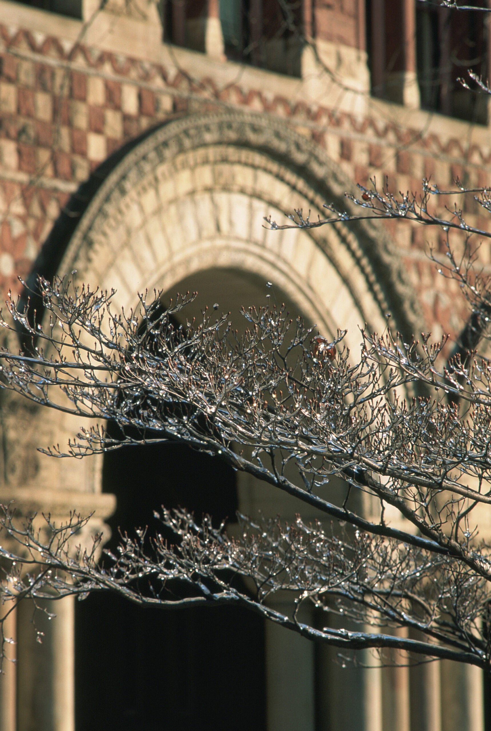 Photo of Harvard's Austin Hall in the 1990s