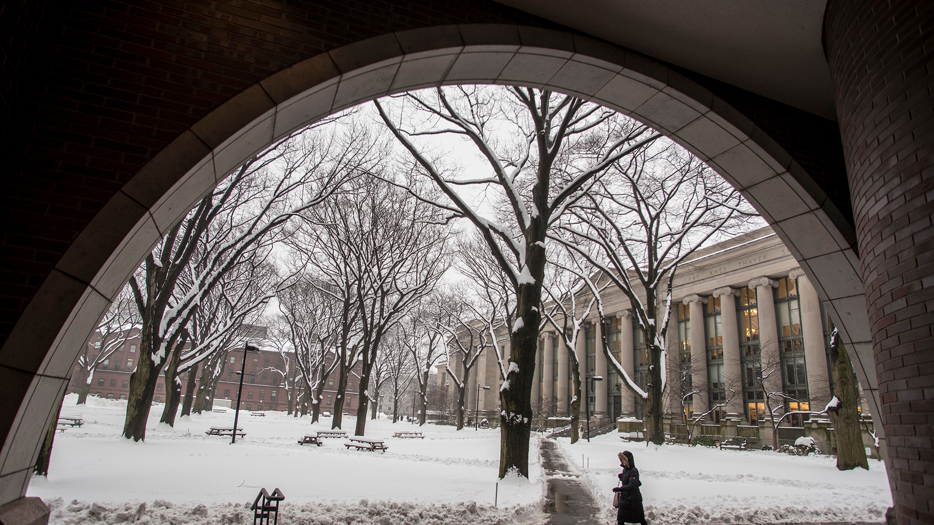 View of Langdell in the snow through Hauser arch