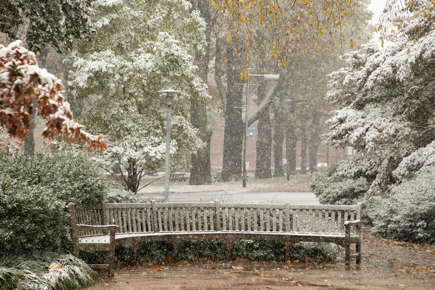 bench in the snow