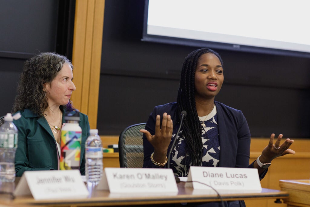 Diane Lucas speaks during a panel