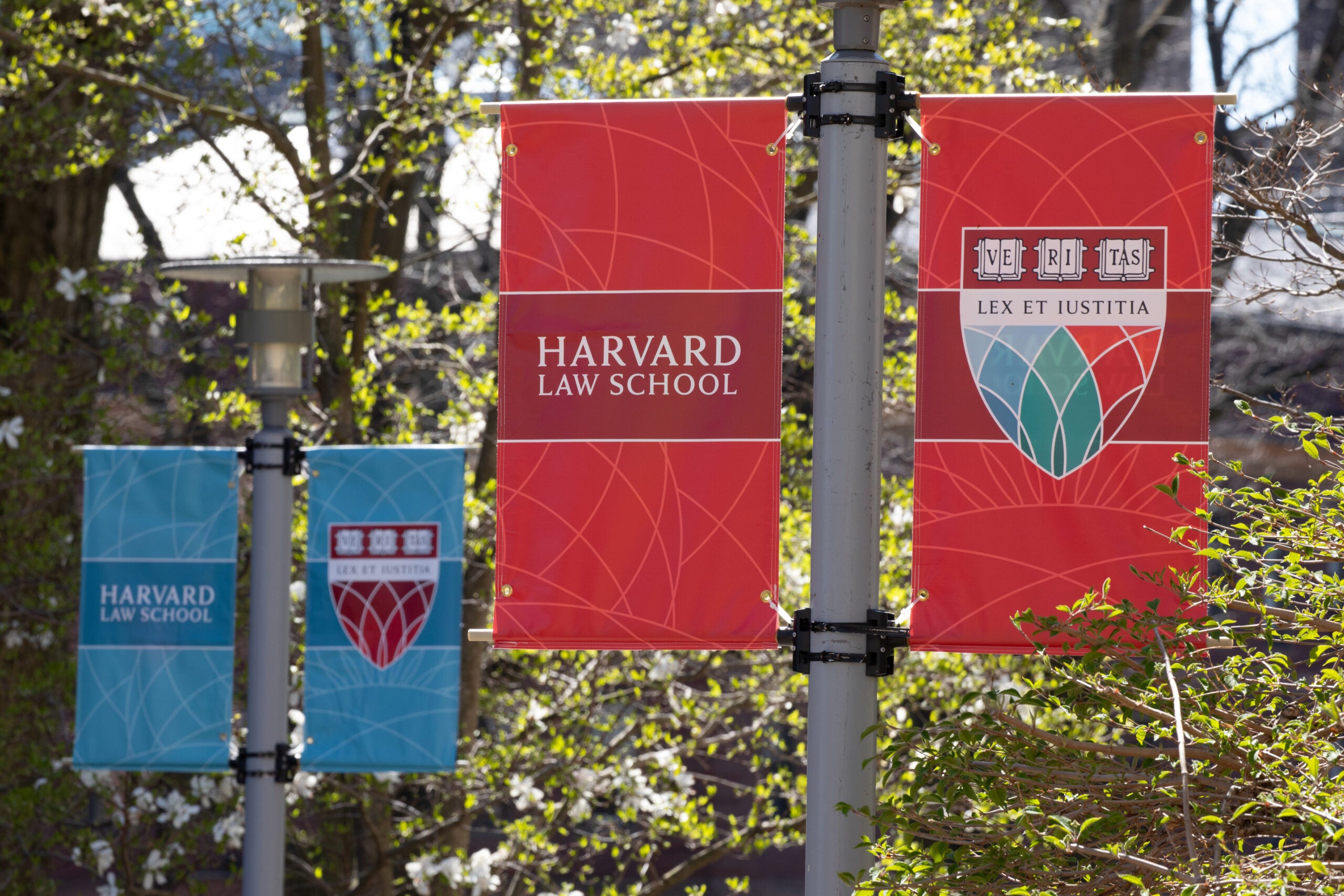 harvard law school application letters of recommendation