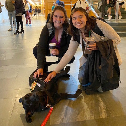 Two students petting Sasha, Harvard's community engagement dog.