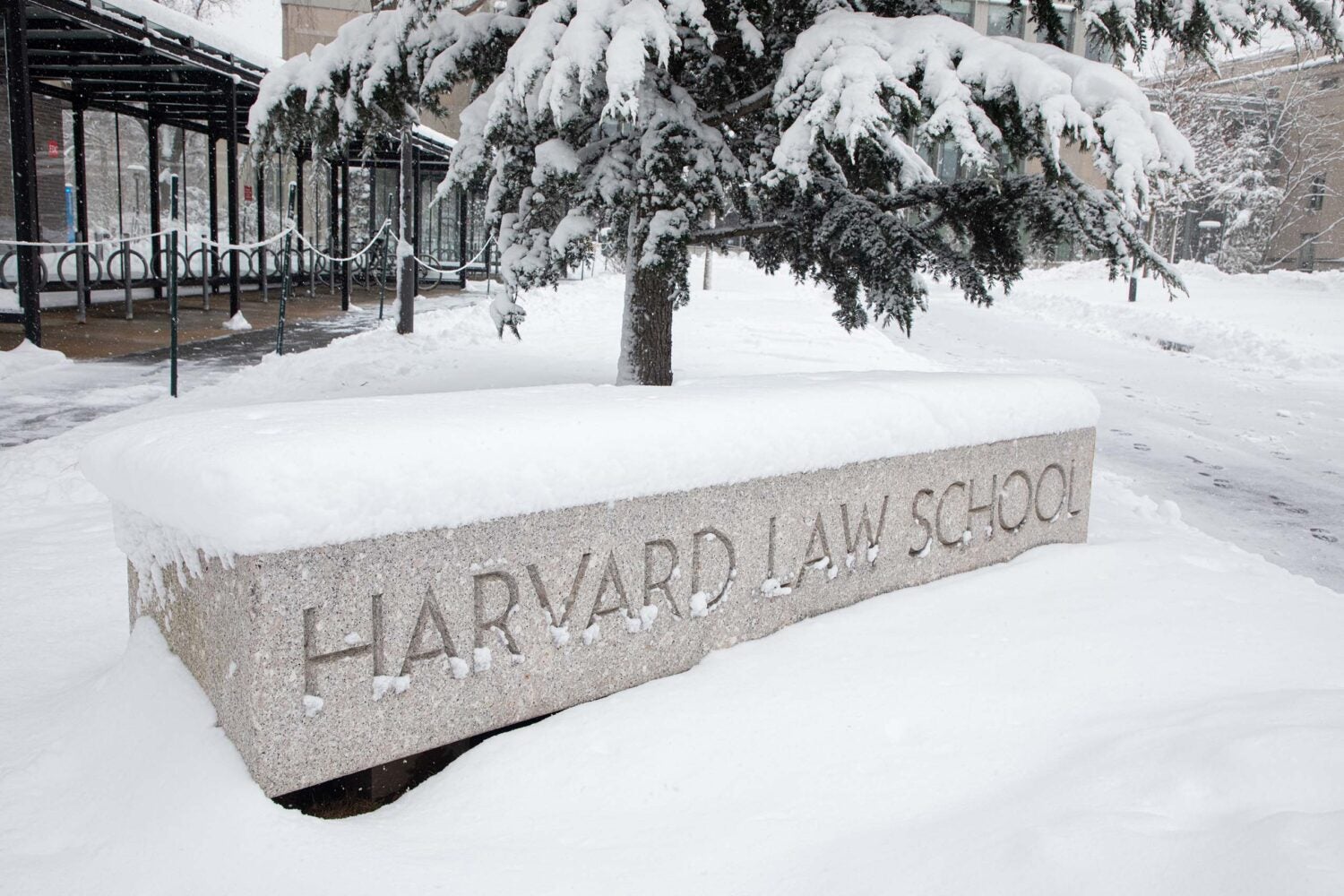 Harvard Law School Top Ten Of ’22 - Harvard Law School | Harvard Law School