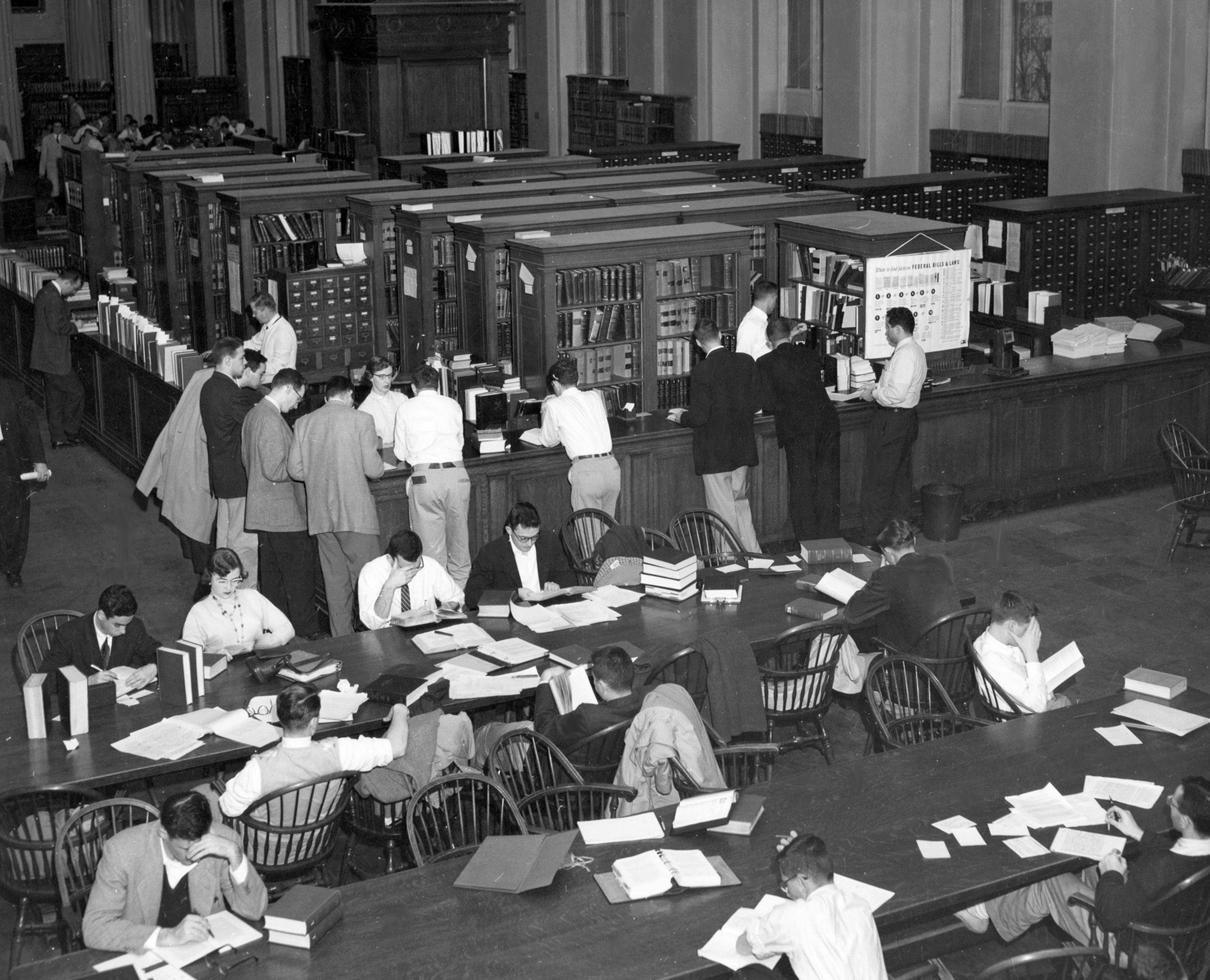 Students in the HLS library reading, studying, asking reference desk questions
