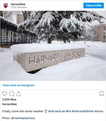 Instagram screenshot of a snowy Harvard Law School bench