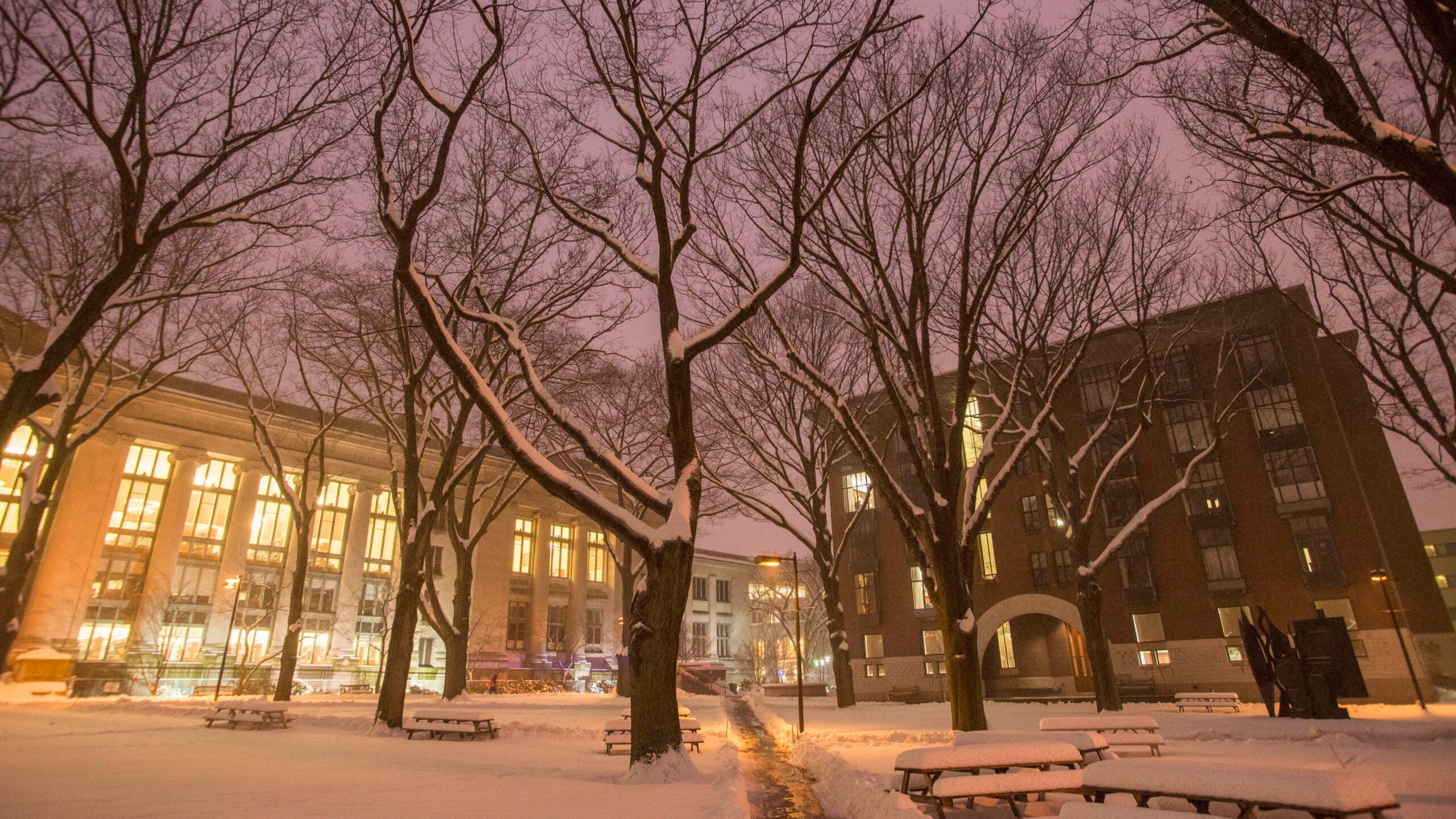 A wide shot of a campus quad in winter at night