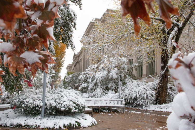 A snowy campus scene featuring Langdell Hall.
