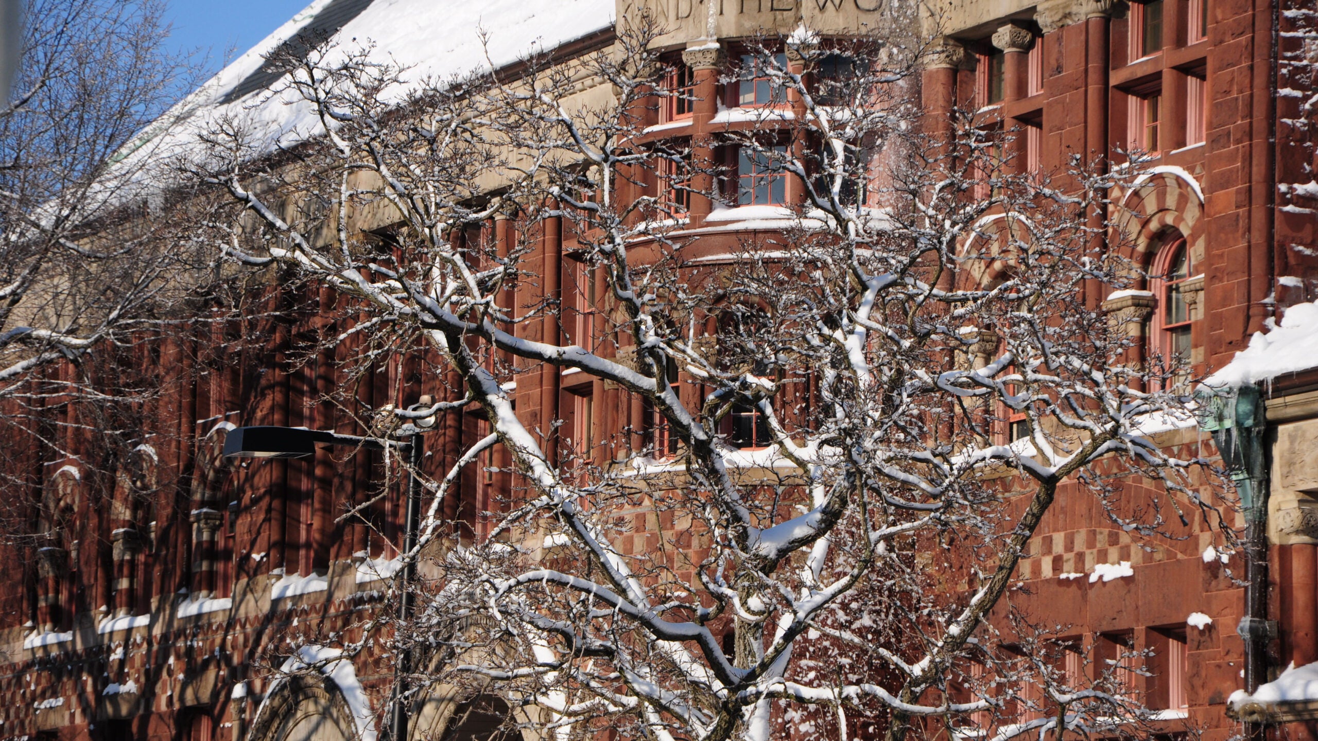 Red brick campus building with a snow covered tree in front