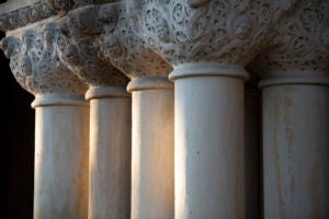 Close up of columns of a building bathed in early evening sun