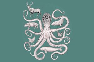 illustration of octopus with arms surrounding other animals