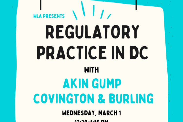 Image thumbnail for Regulatory Practice in DC Panel
