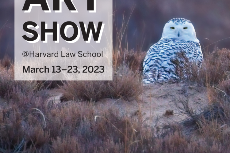 Image thumbnail for Harvard Staff Art Show @ HLS
