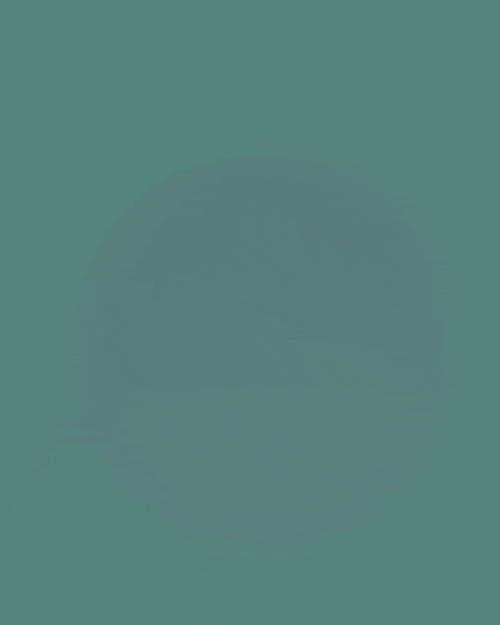 A great octopus surrounded by various animals