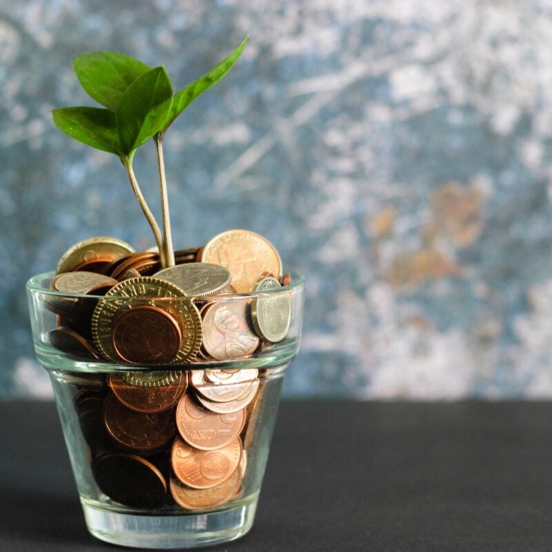 Plant growing from cup of coins