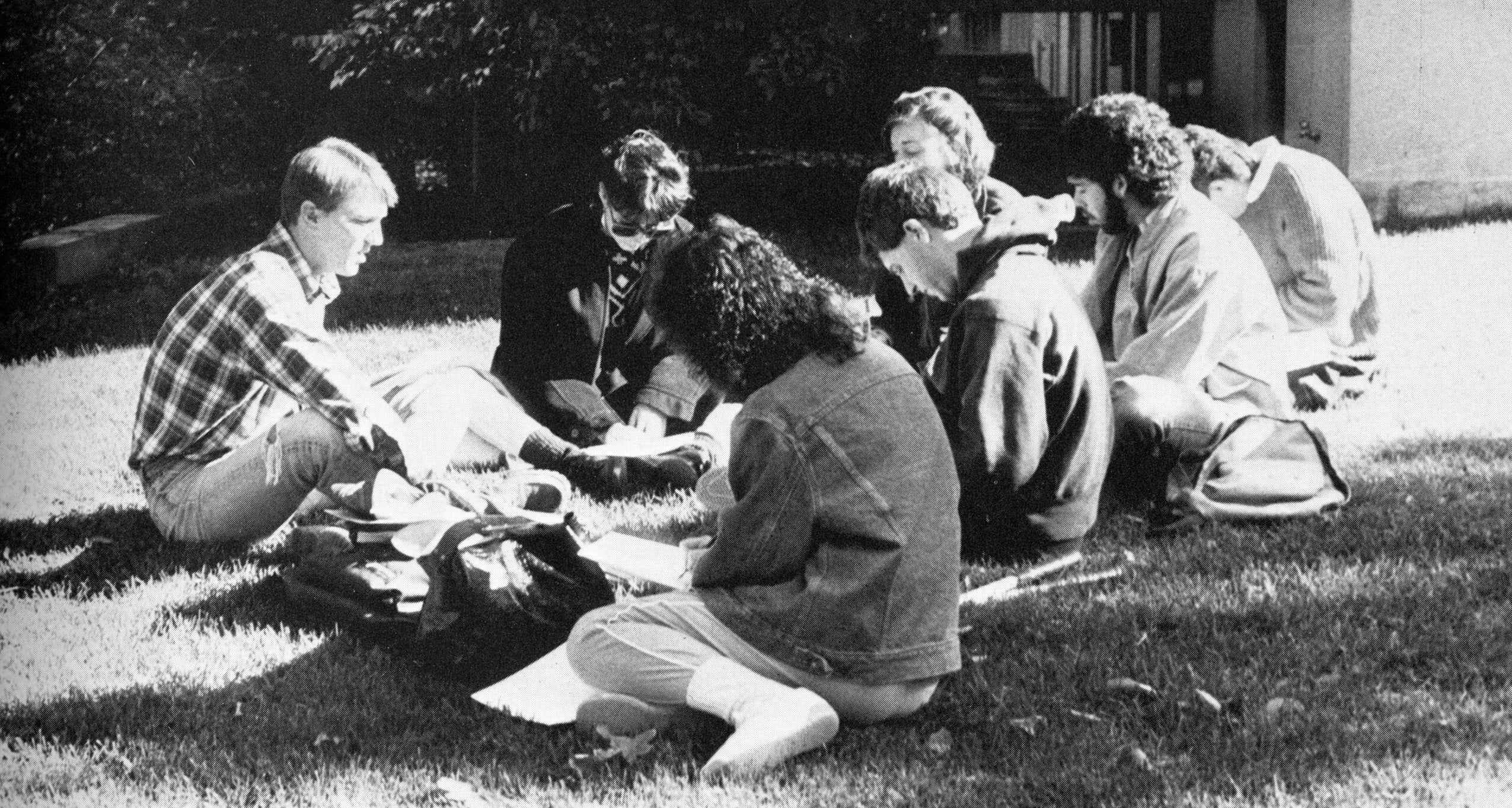 a group of students studying outside on the grass