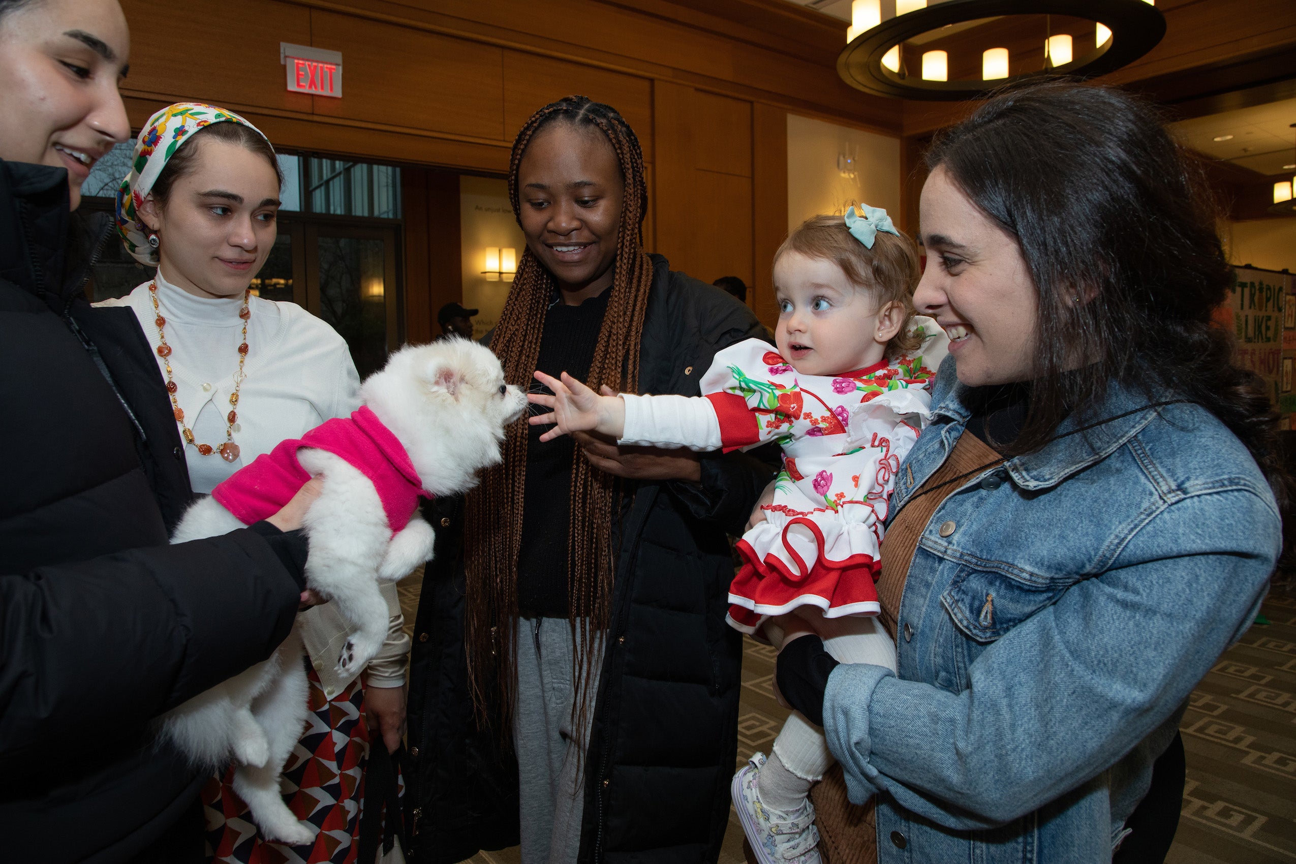 A child touches the nose of a small white dog and several people look on
