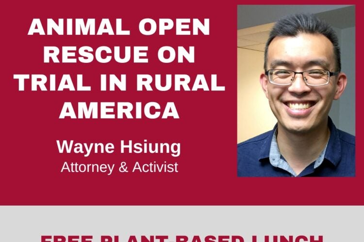 Image thumbnail for Animal Open Rescue on Trial in Rural America