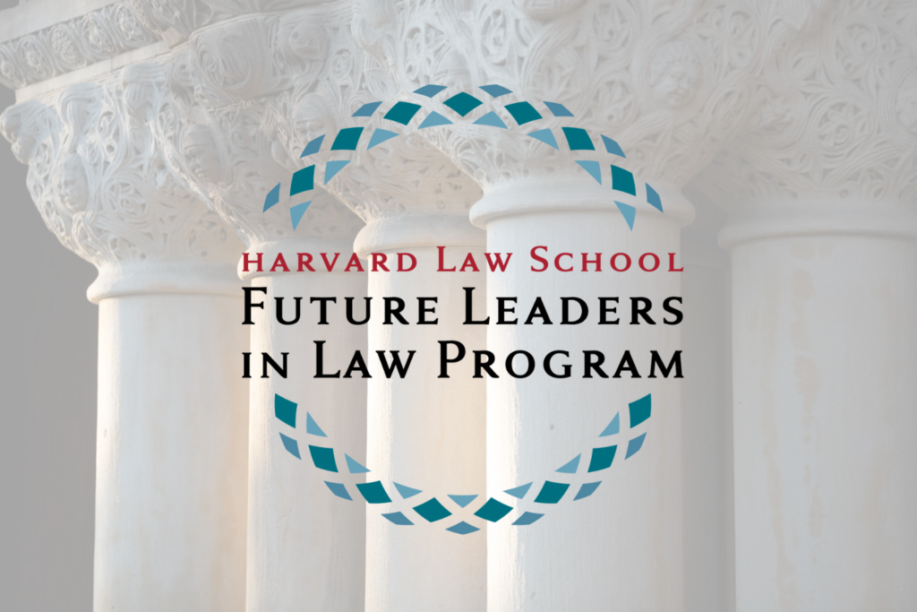 Future Leaders In Law Program FAQs Harvard Law School Harvard Law   Untitled Design 2 1024x683 