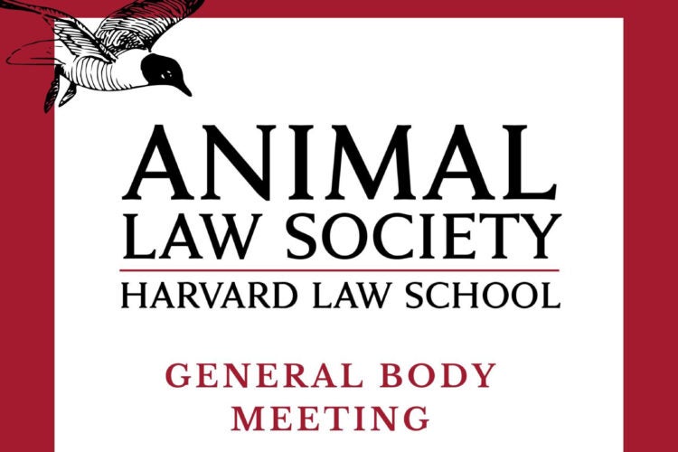 Image thumbnail for Animal Law Society General Body Meeting