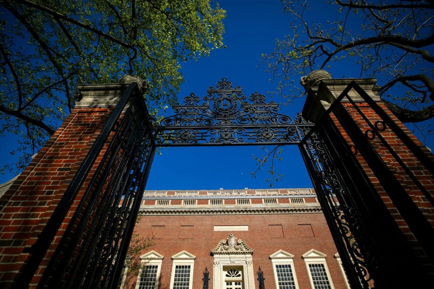 Gated entrance into Harvard Yard.