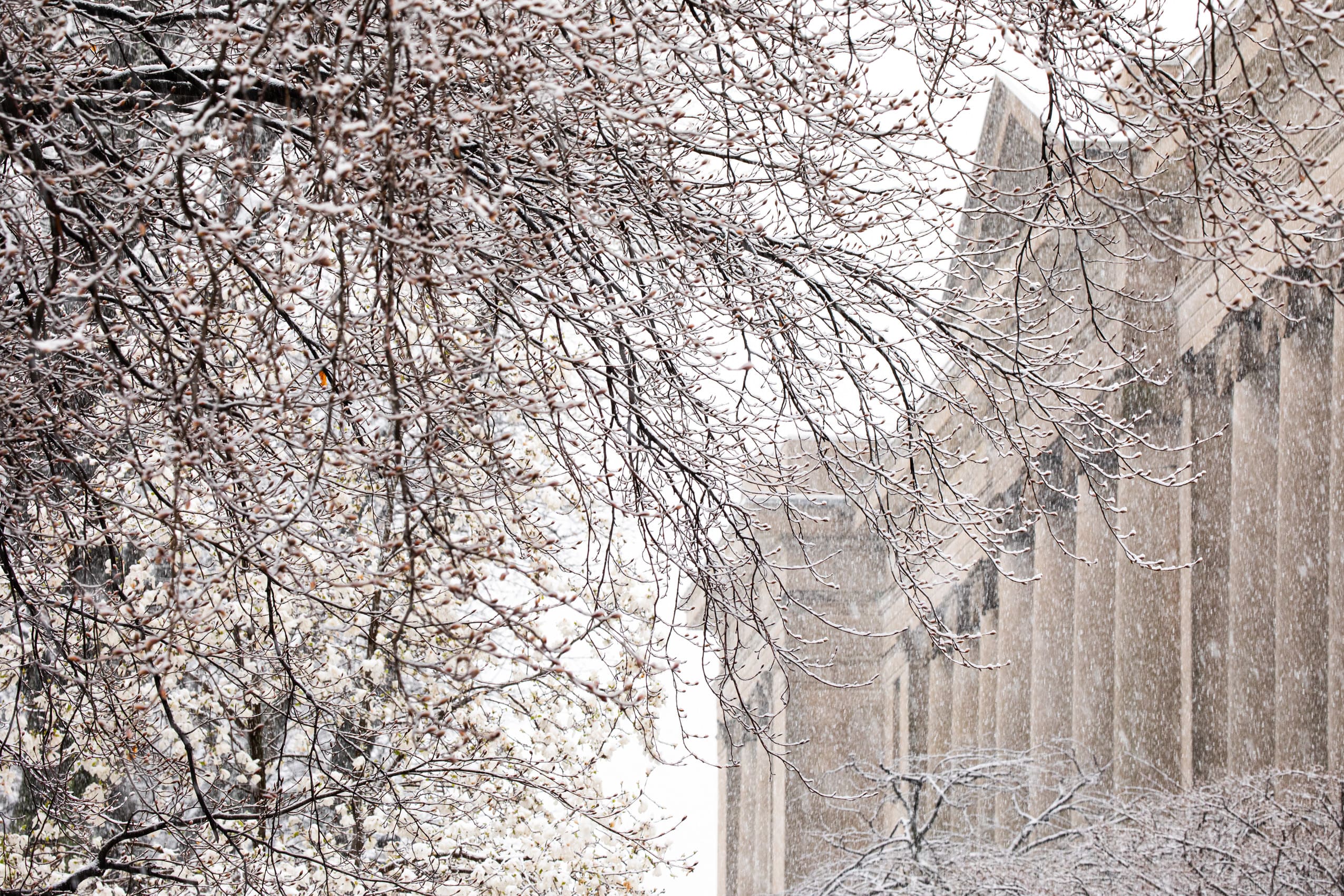 A snowy spring day on campus