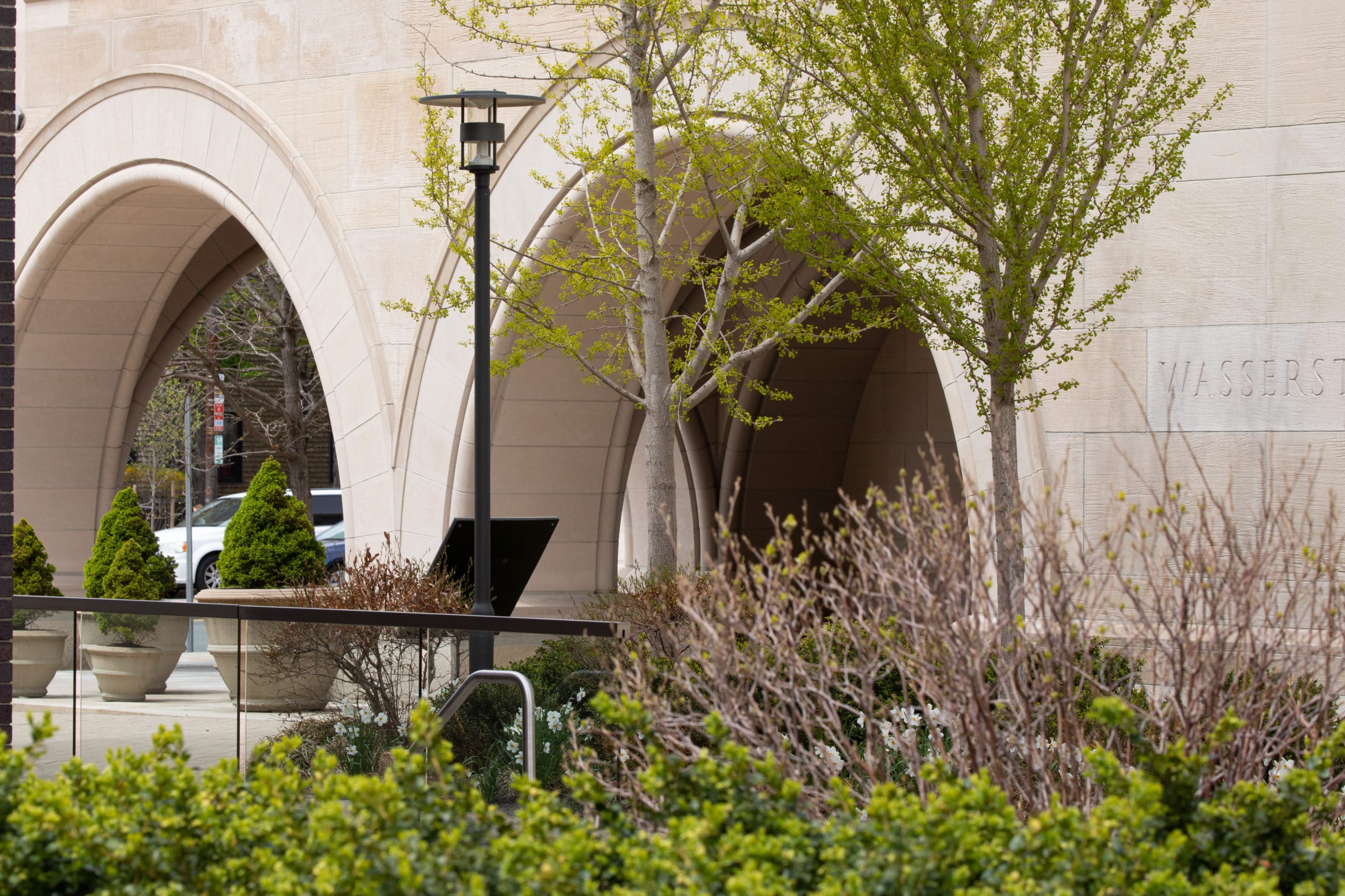 Plant life outside Wasserstein