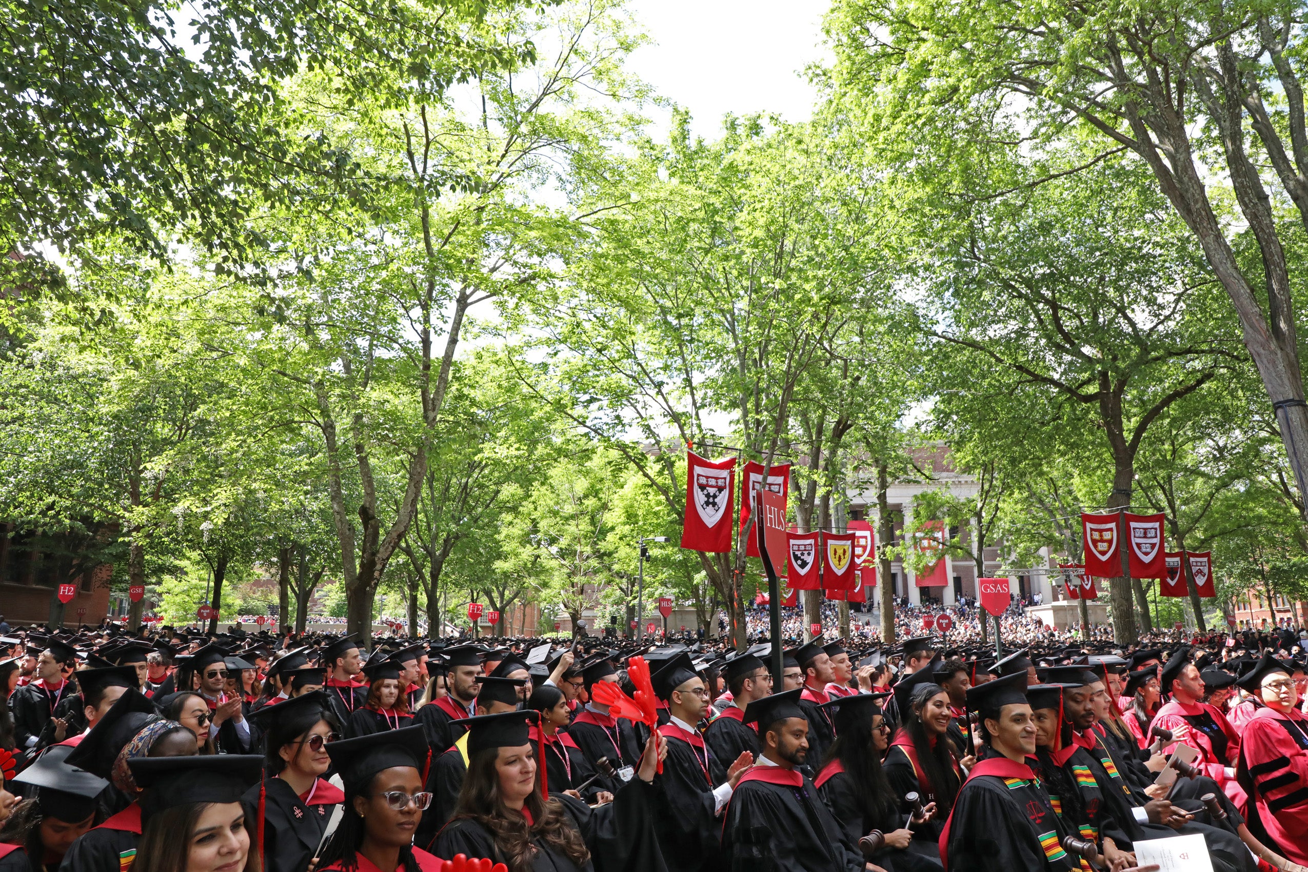 Flags with Harvard shields hang over crowd of graduates