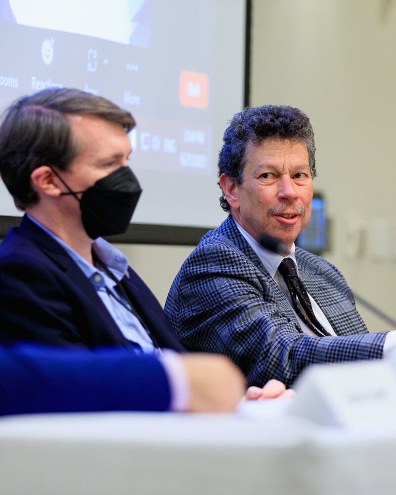 ILAG Conference panel.