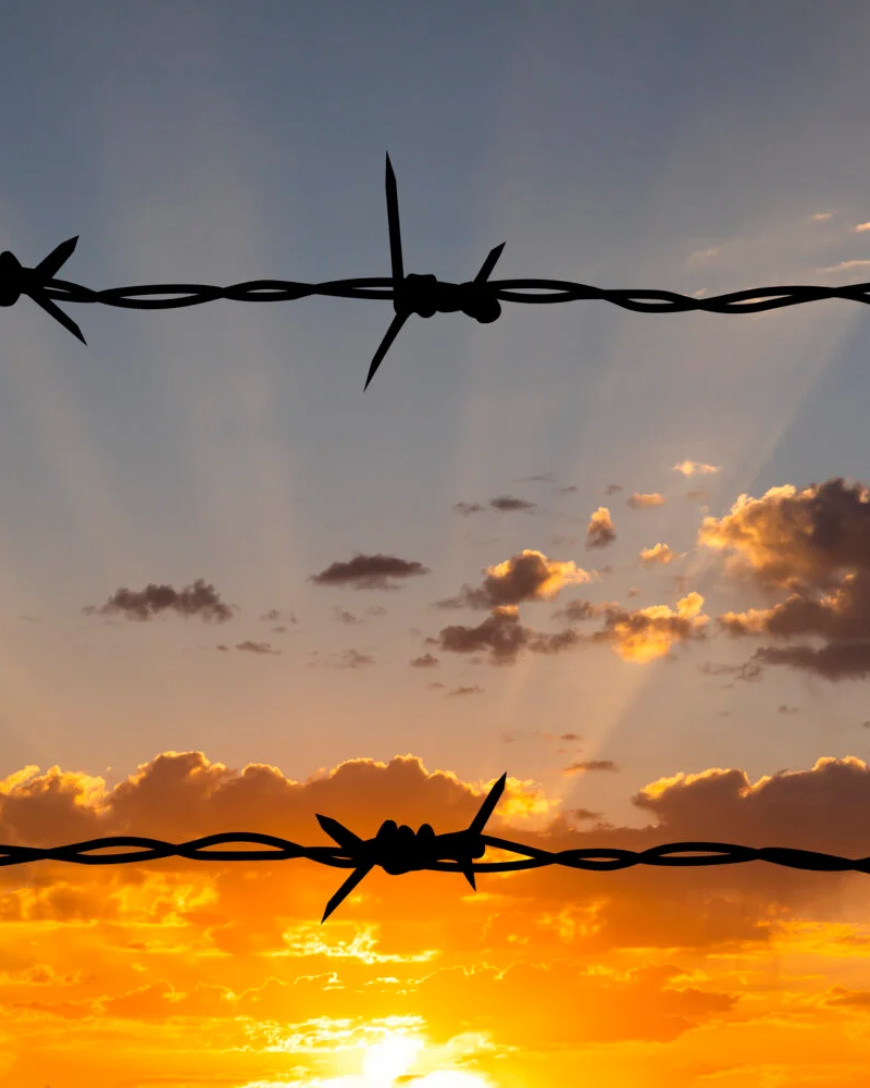 Barbed wire against a sunset