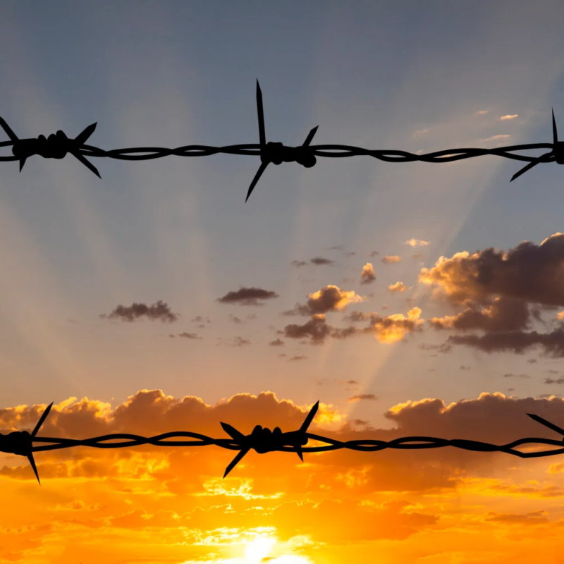 Barbed wire against a sunset
