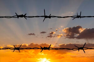 Barbed wire against a sunset