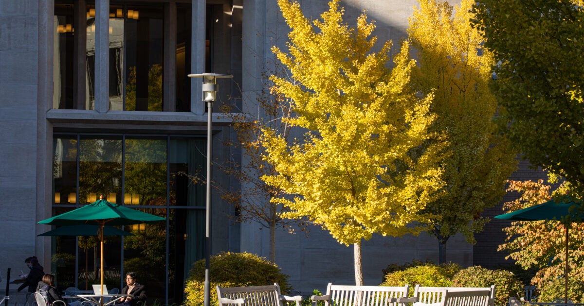 Connecting With The J D Admissions Office In Fall 2023 Harvard Law   2021 11 05 HLS Autumn Photoshoot MStewart 085 1200x630 