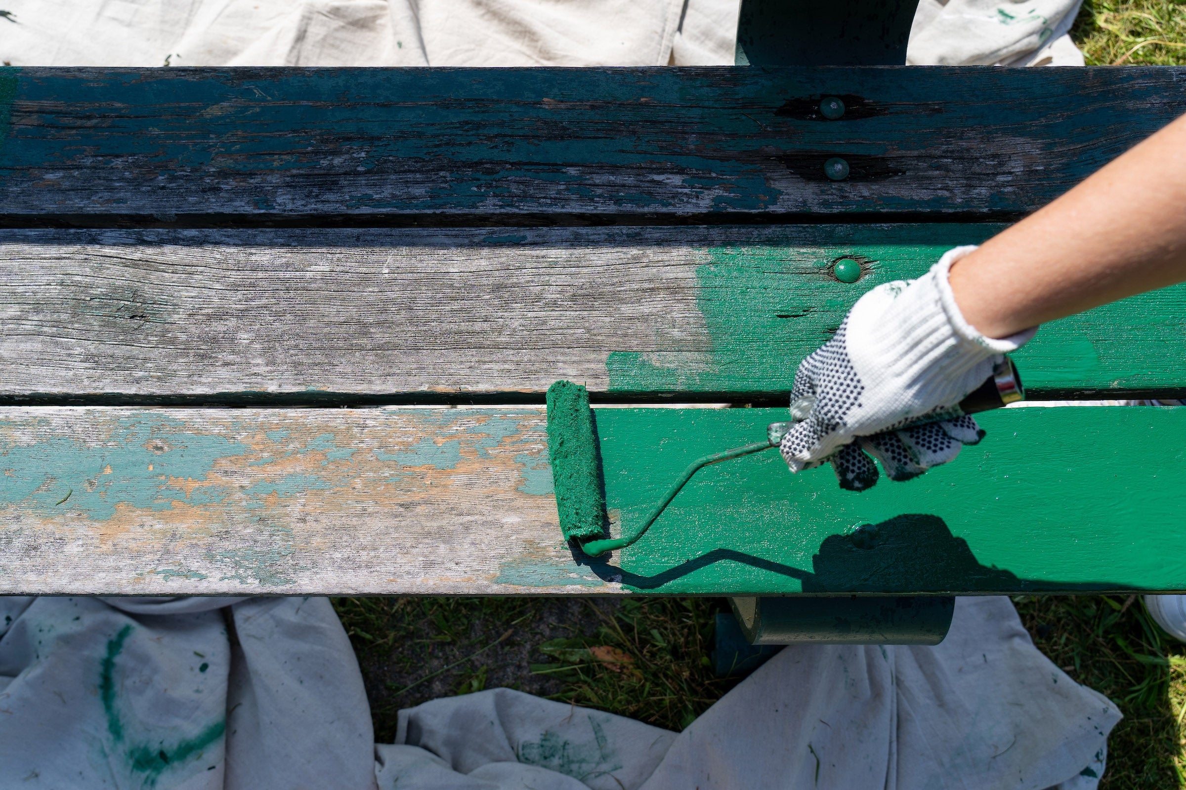 Volunteers at the Charles River.