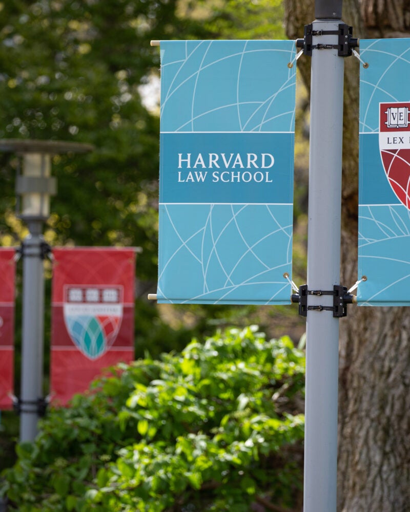 A series of pairs of Harvard Law School red and teal banners with trees in the background