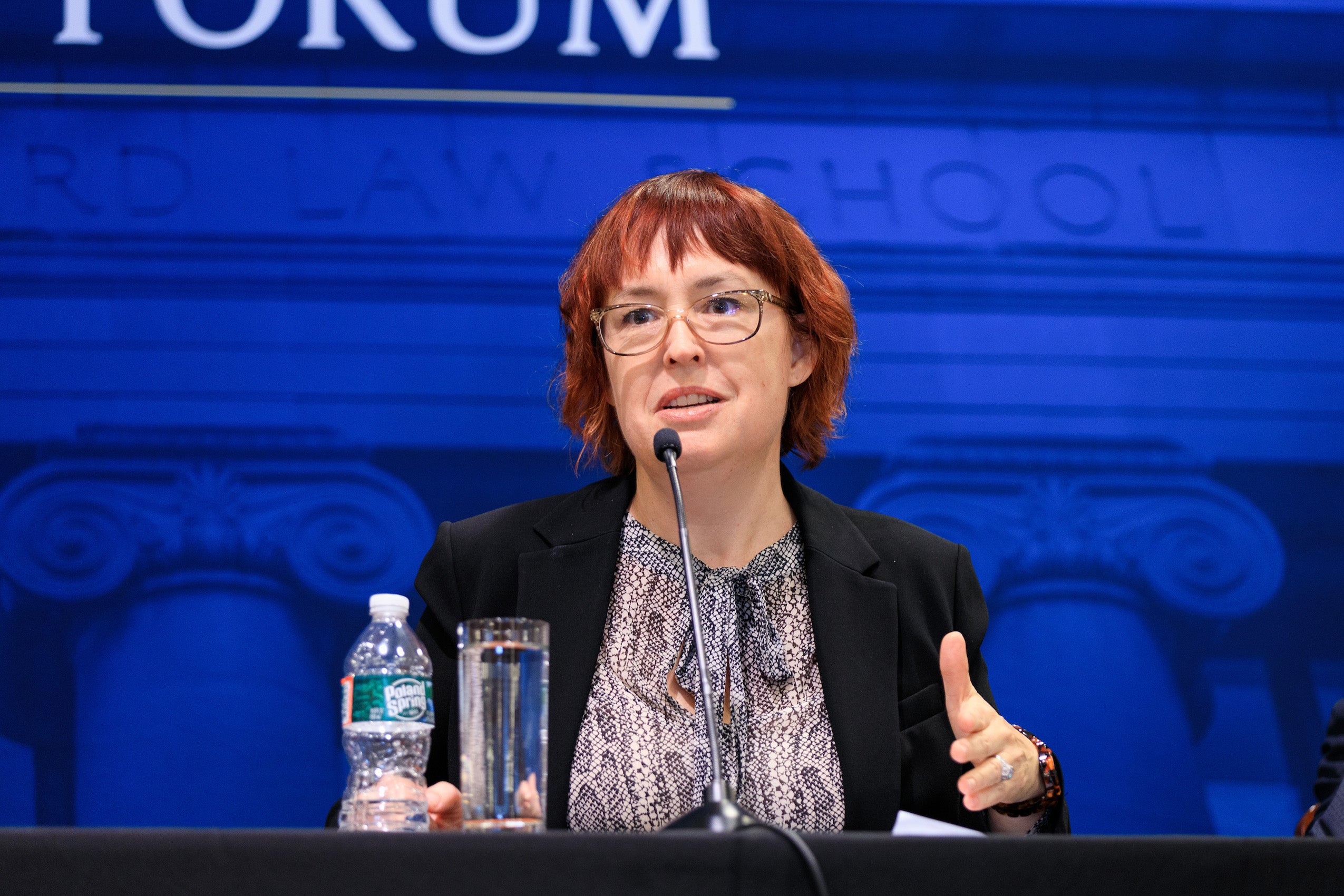 A panelist speaking