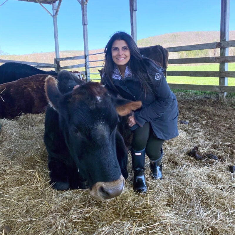Nirva Kapasi Patel with a cow.