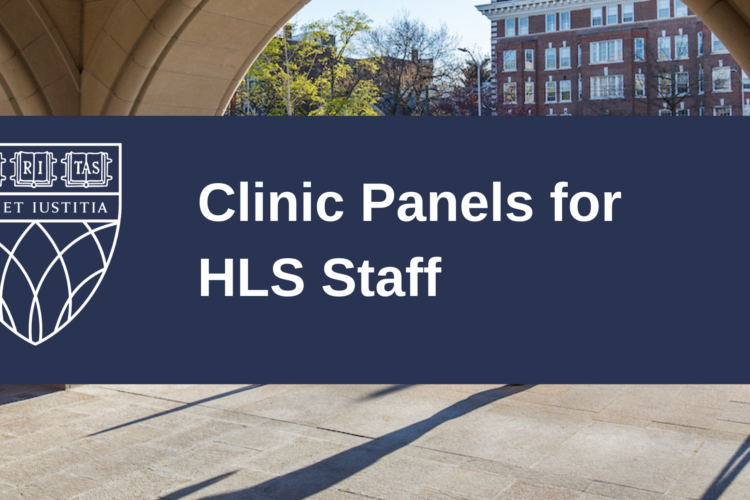 Image thumbnail for Clinic Panels for HLS Staff