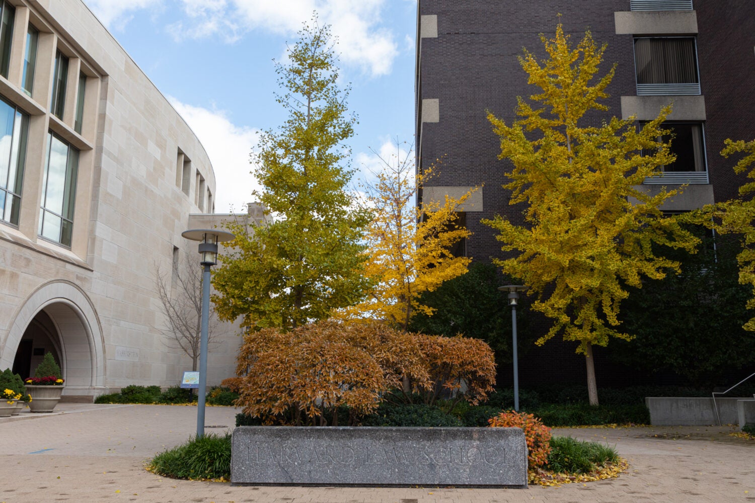 Our Favorite Interview Questions Harvard Law School Harvard Law School