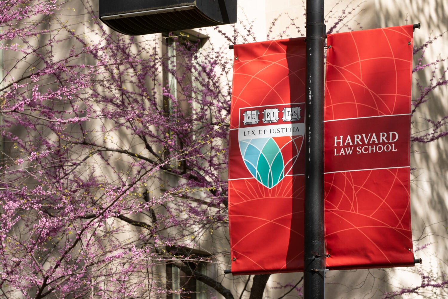 Alumni Harvard Law School Harvard Law School