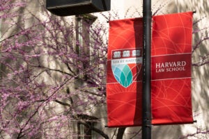 The Harvard Law School Shield in front of spring flowers.