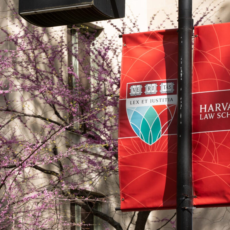 The Harvard Law School Shield in front of spring flowers.